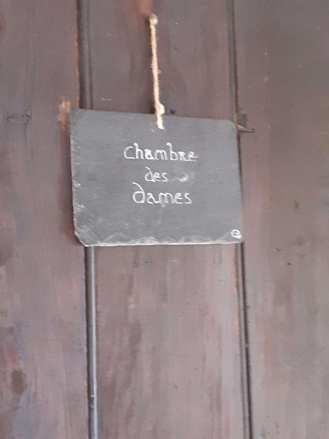 Chateau De Chémery Exterior foto