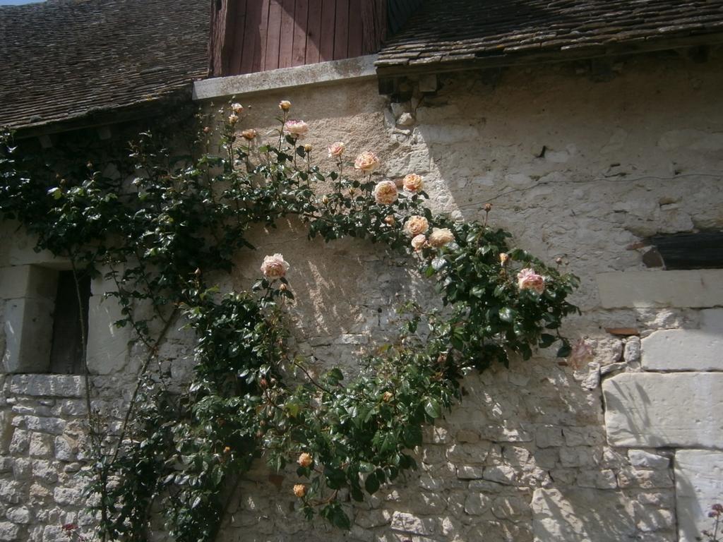 Chateau De Chémery Exterior foto