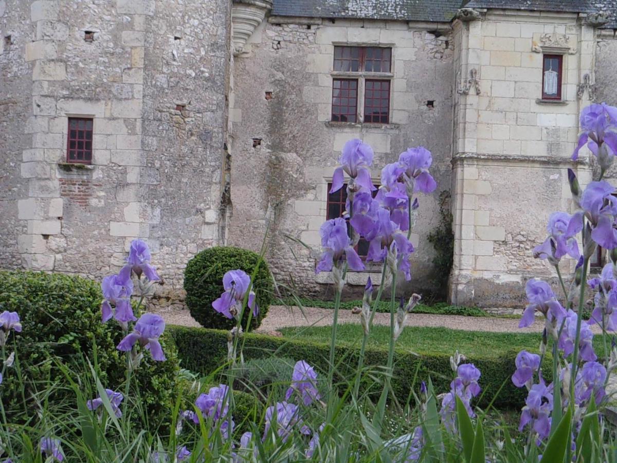 Chateau De Chémery Exterior foto