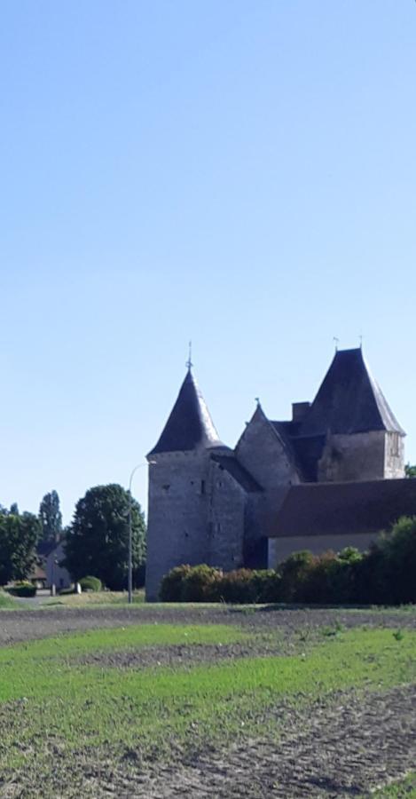 Chateau De Chémery Exterior foto
