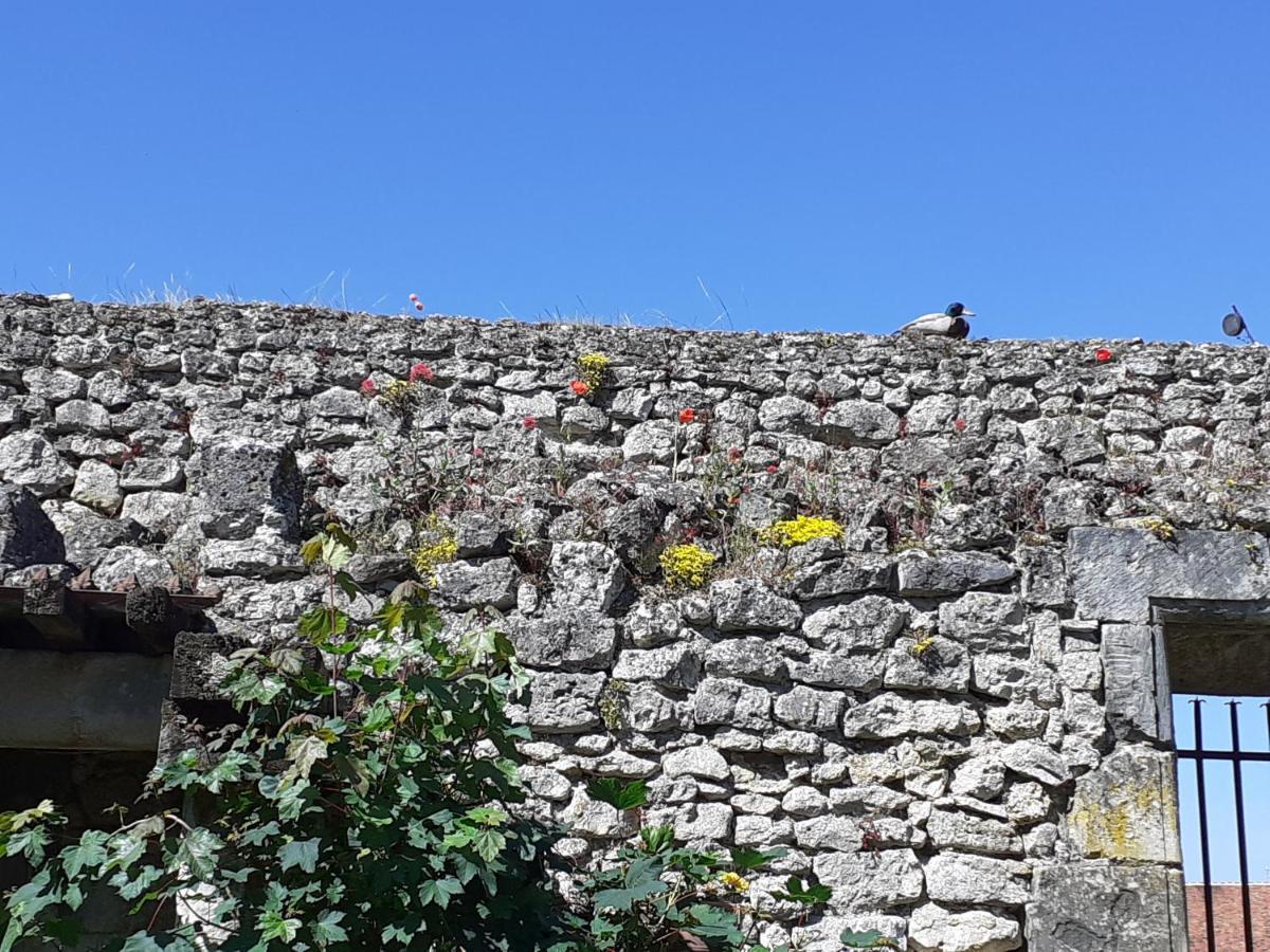 Chateau De Chémery Exterior foto